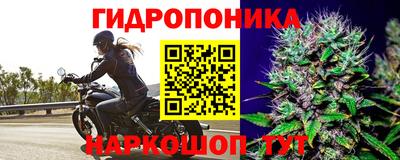 герыч Новозыбков
