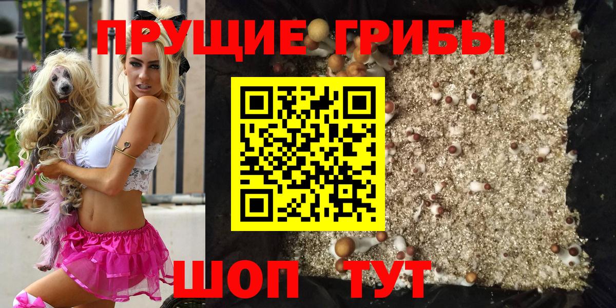 Сочи  Псилоцибиновые грибы MAGIC MUSHROOMS  Вход с VPN 