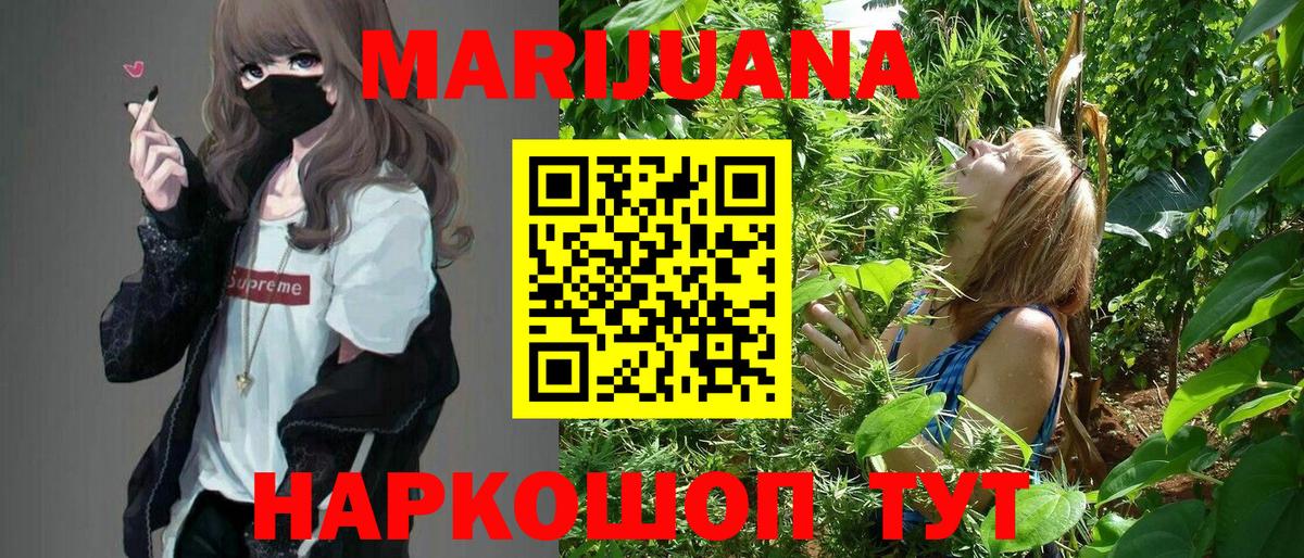 Шишки марихуана Ganja  Бошки Шишки план  Сочи  Вход с VPN  МАРИХУАНА AK-47  Конопля гибрид 